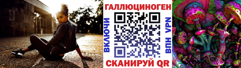 наркота  Лахденпохья  Псилоцибиновые грибы мухоморы 
