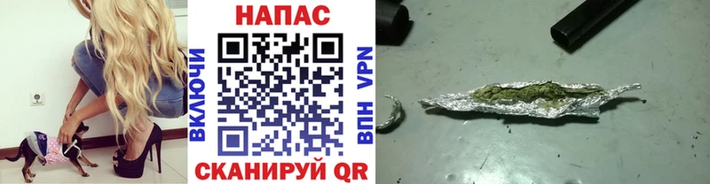 Конопля Bruce Banner  Лахденпохья 